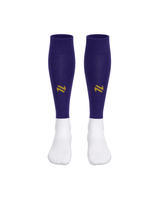 BCWFC 26-27 Third Sock